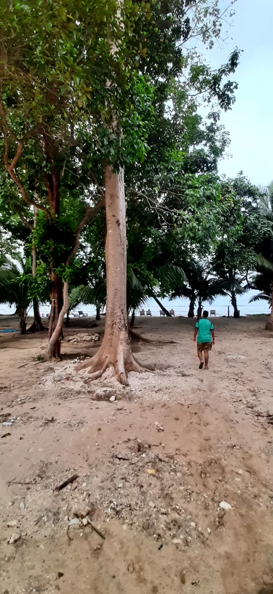 Photo of Trip To Andaman Islands by Shaik Ashraf Ali Ahmed