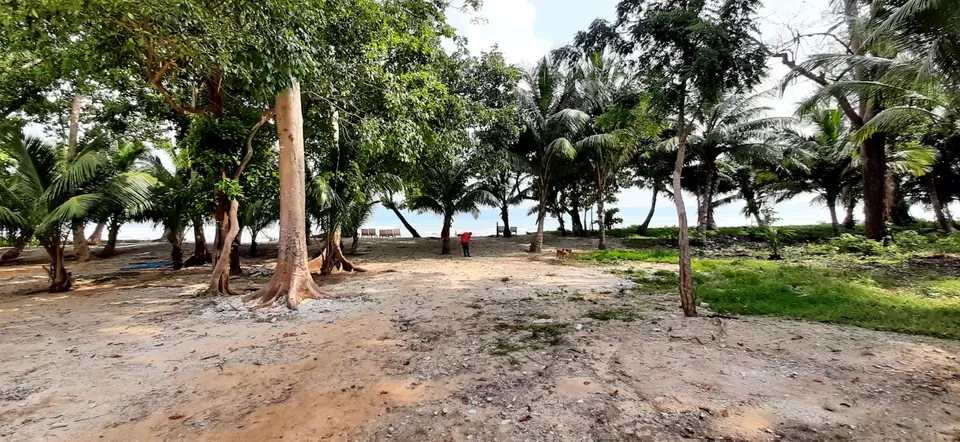 Photo of Trip To Andaman Islands by Shaik Ashraf Ali Ahmed