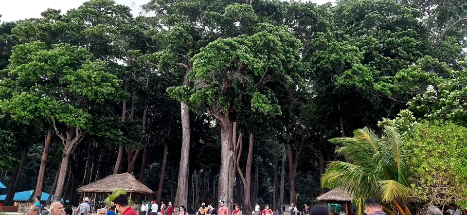 Photo of Trip To Andaman Islands by Shaik Ashraf Ali Ahmed