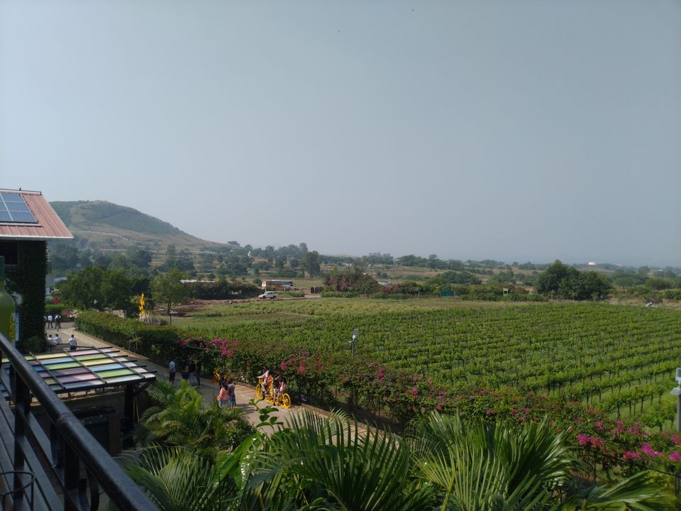 Photo of Gangapur-Savargaon Rd, Sawargaon, Maharashtra 422222, India by sandesh shet