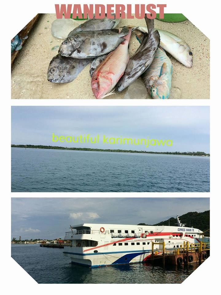 Photo of Karimunjawa-the hidden gem of Indonesia 1/13 by Ankita