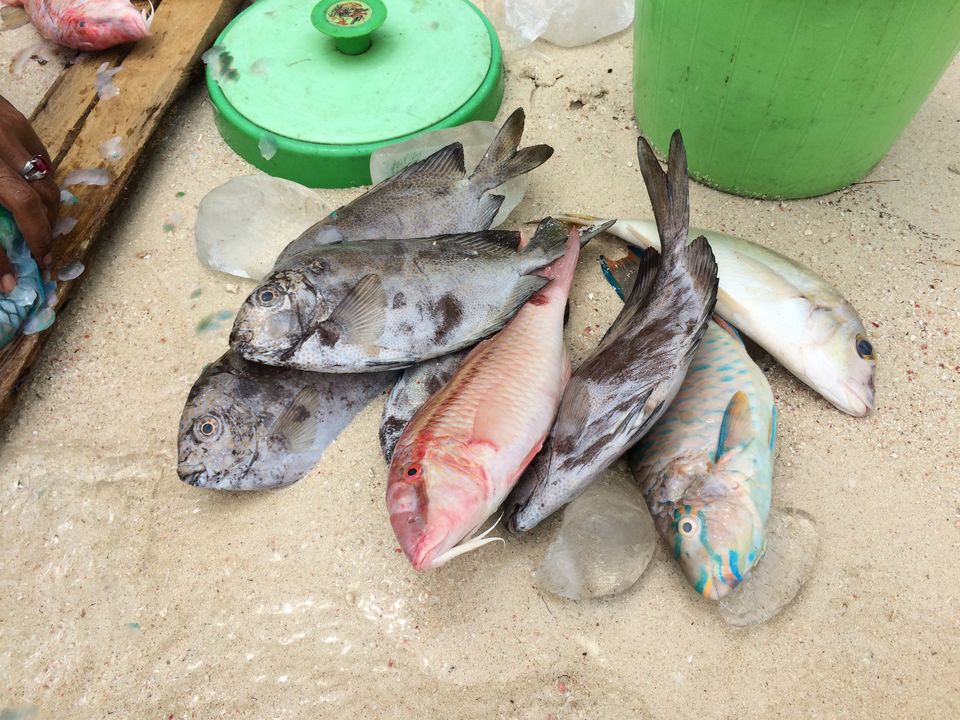Photo of Karimunjawa-the hidden gem of Indonesia 4/13 by Ankita
