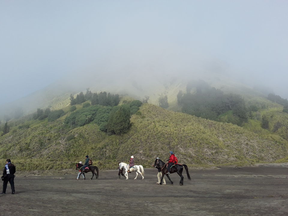 Photo of Touch the Clouds -A Day in Bromo 5/7 by Ankita