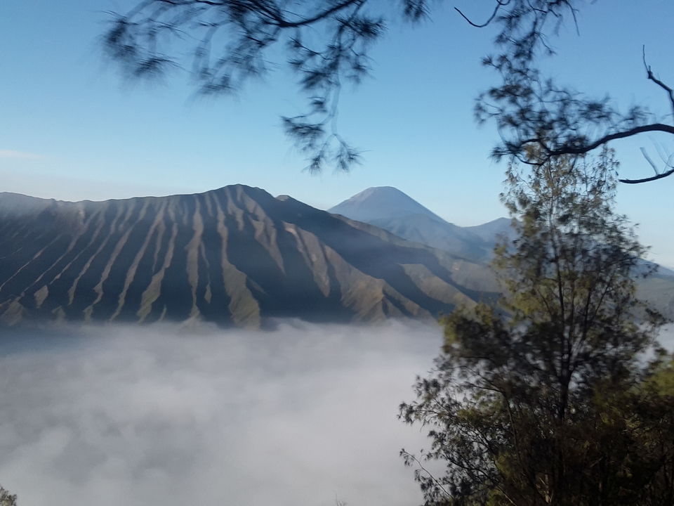 Photo of Touch the Clouds -A Day in Bromo 7/7 by Ankita