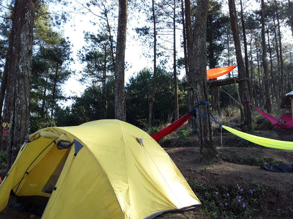 Photo of Hammock in Woods- A Campfire in Bantir Hills by Ankita