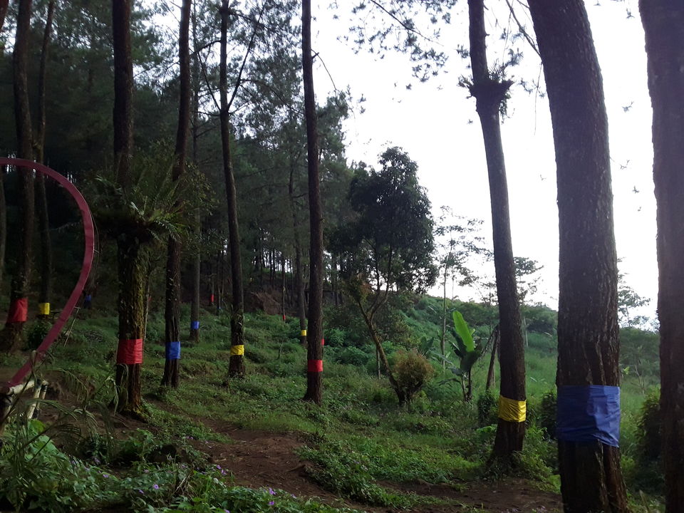 Photo of Hammock in Woods- A Campfire in Bantir Hills 12/13 by Ankita