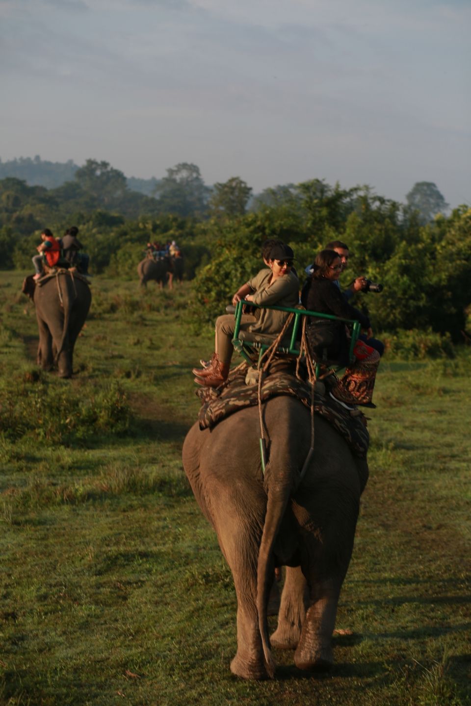 Photo of Kaziranga National Park, Assam, India by CharanKumar V