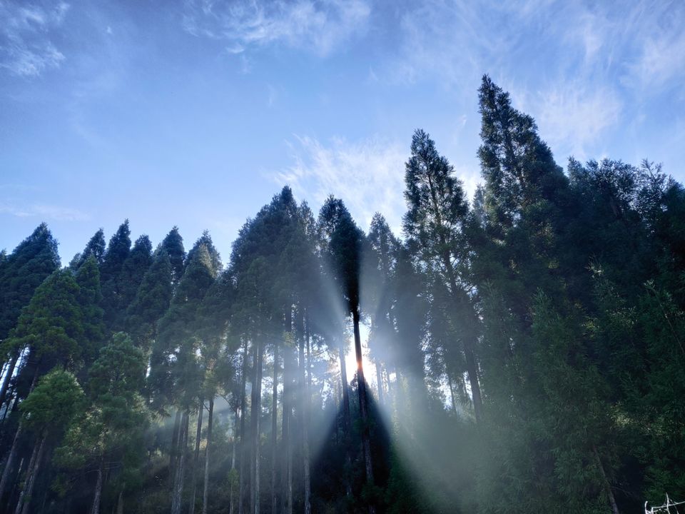 Photo of An adventurous week in North East India covering *Meghalaya*Assam*Manipur* by CharanKumar V
