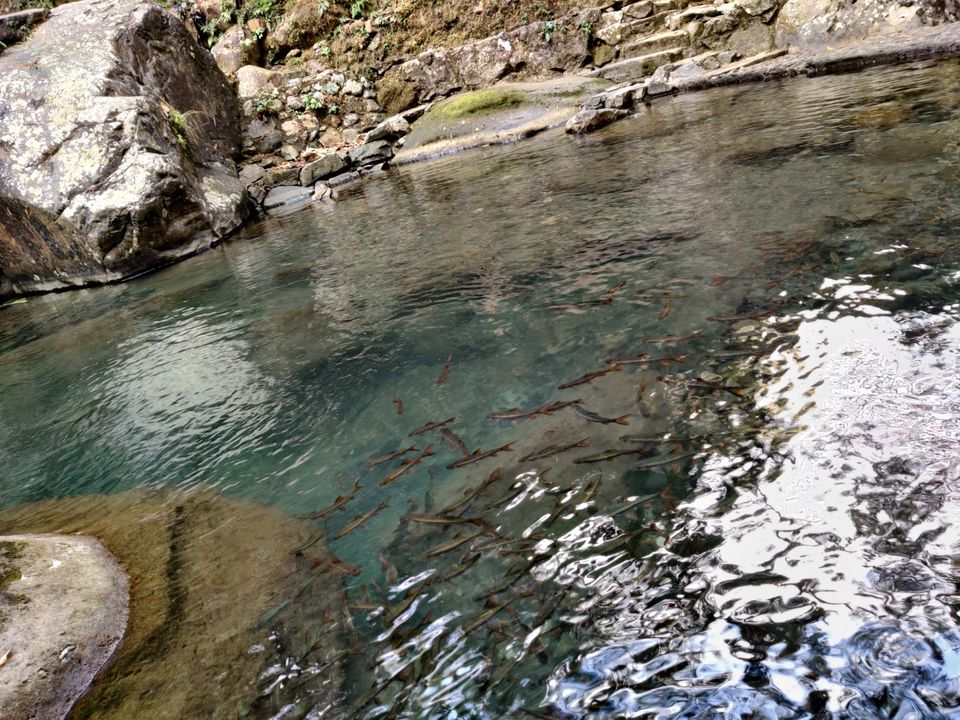 Photo of An adventurous week in North East India covering *Meghalaya*Assam*Manipur* by CharanKumar V