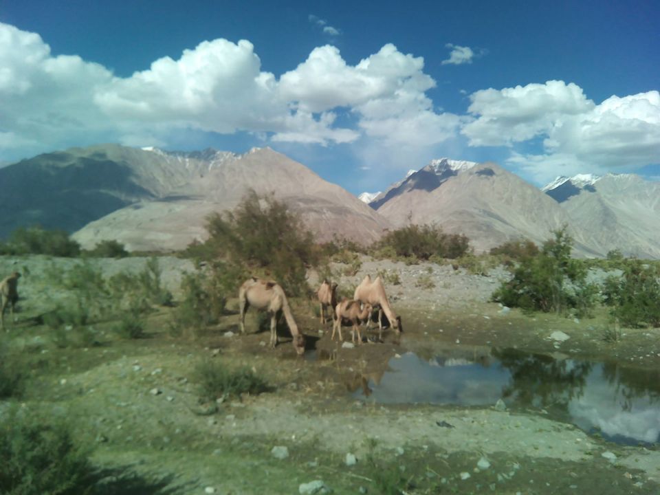 Photo of Mystical Ladakh! 19/24 by Nidhi Sharma