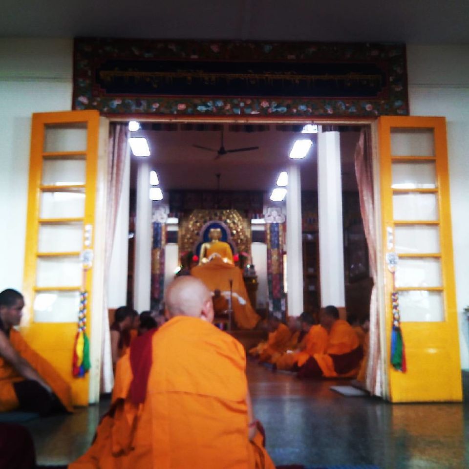 Photo of 7 Days. 934 kms. My Love Affair With Himachal. 6/6 by Nidhi Sharma