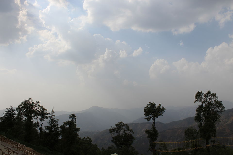 Photo of Sweet Escape To Chail 1/32 by Nidhi Sharma