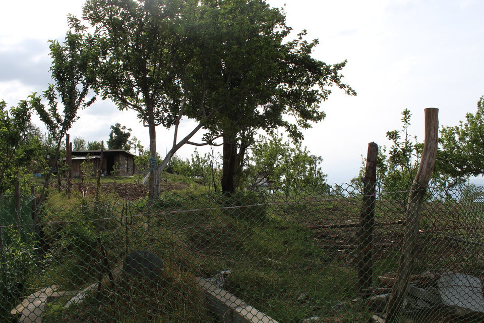 Photo of Sweet Escape To Chail 4/32 by Nidhi Sharma