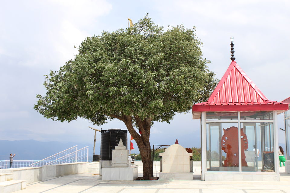 Photo of Sweet Escape To Chail 8/32 by Nidhi Sharma