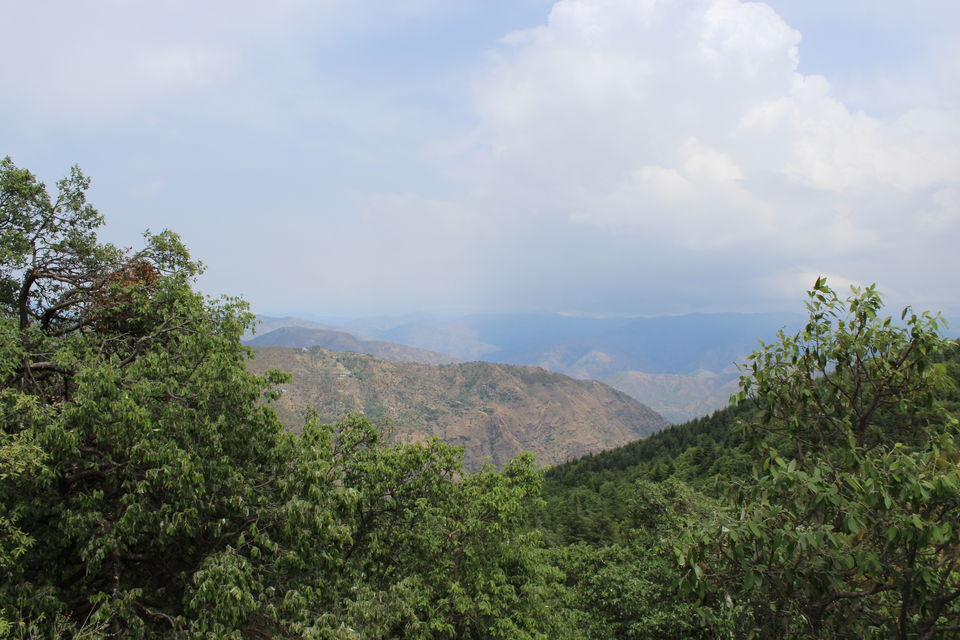 Photo of Sweet Escape To Chail 9/32 by Nidhi Sharma