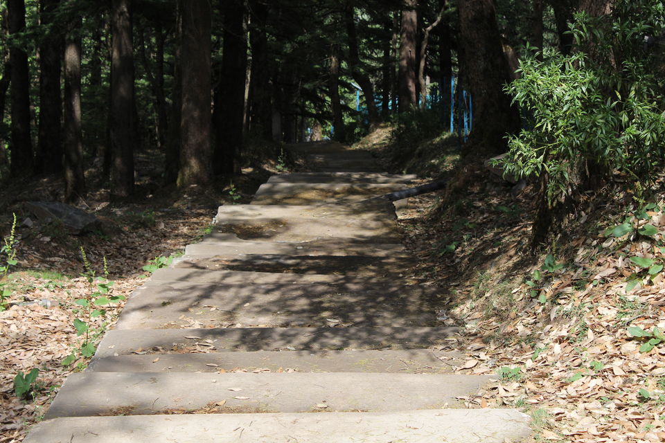 Photo of Sweet Escape To Chail 15/32 by Nidhi Sharma