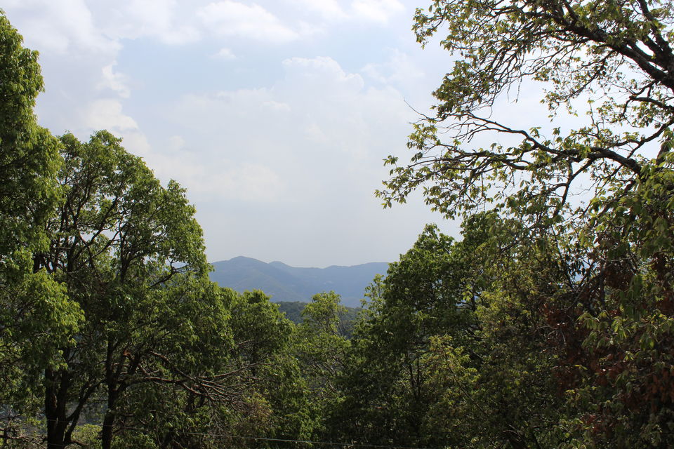Photo of Sweet Escape To Chail 19/32 by Nidhi Sharma