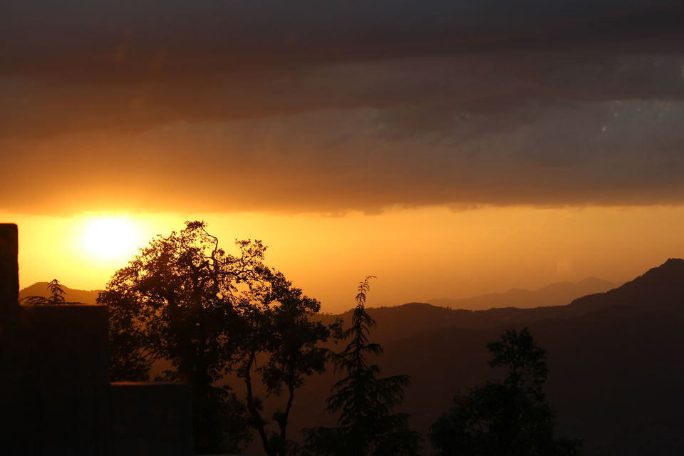 Photo of Sweet Escape To Chail 23/32 by Nidhi Sharma