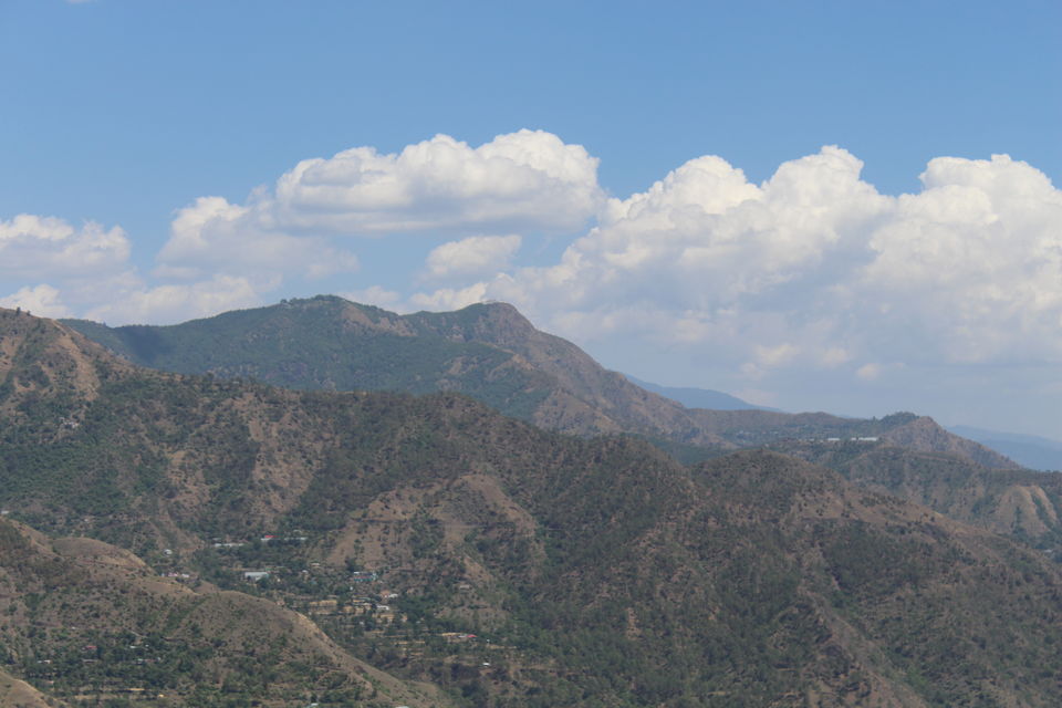 Photo of Sweet Escape To Chail 26/32 by Nidhi Sharma