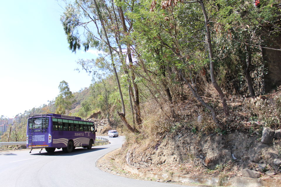 Photo of Sweet Escape To Chail 28/32 by Nidhi Sharma