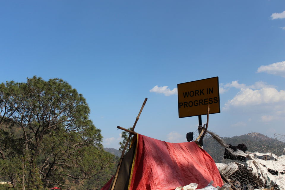 Photo of Sweet Escape To Chail 29/32 by Nidhi Sharma