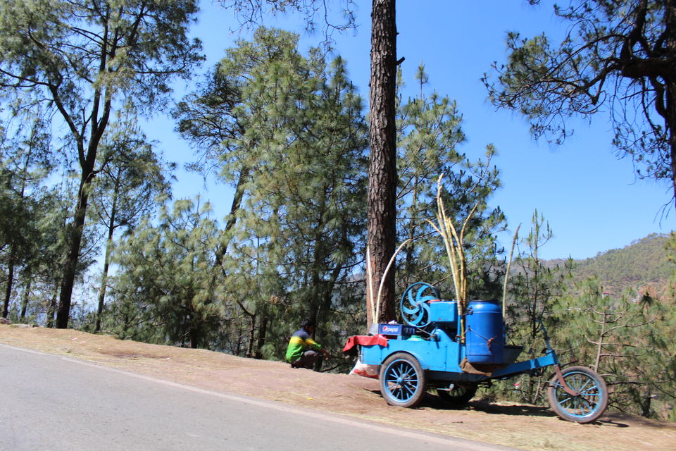 Photo of Sweet Escape To Chail 32/32 by Nidhi Sharma