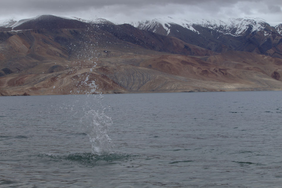 Photo of Leh by Nidhi Sharma