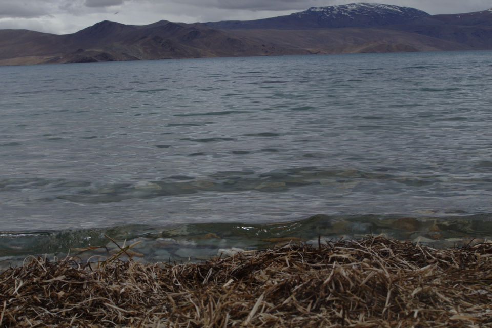 Photo of Leh by Nidhi Sharma