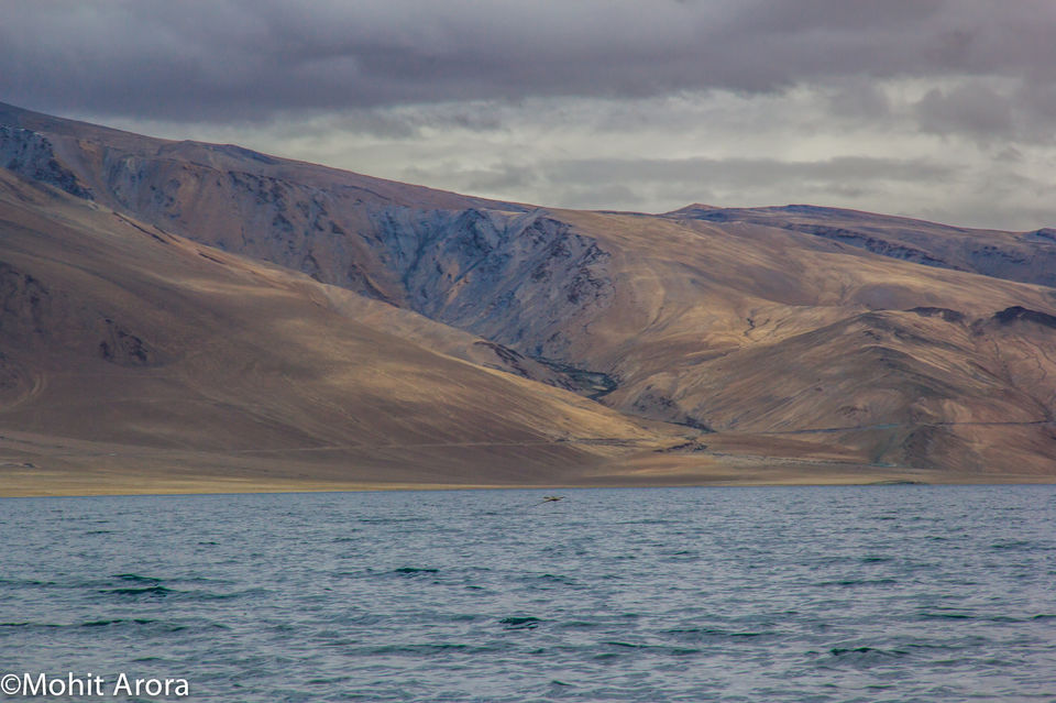 Photo of Leh by Nidhi Sharma