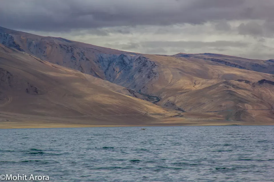 Photo of Leh by Nidhi Sharma