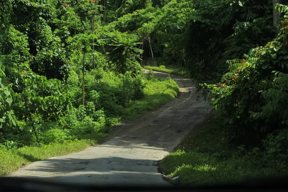 Photo of Andaman and Nicobar Islands, India by Nidhi Sharma