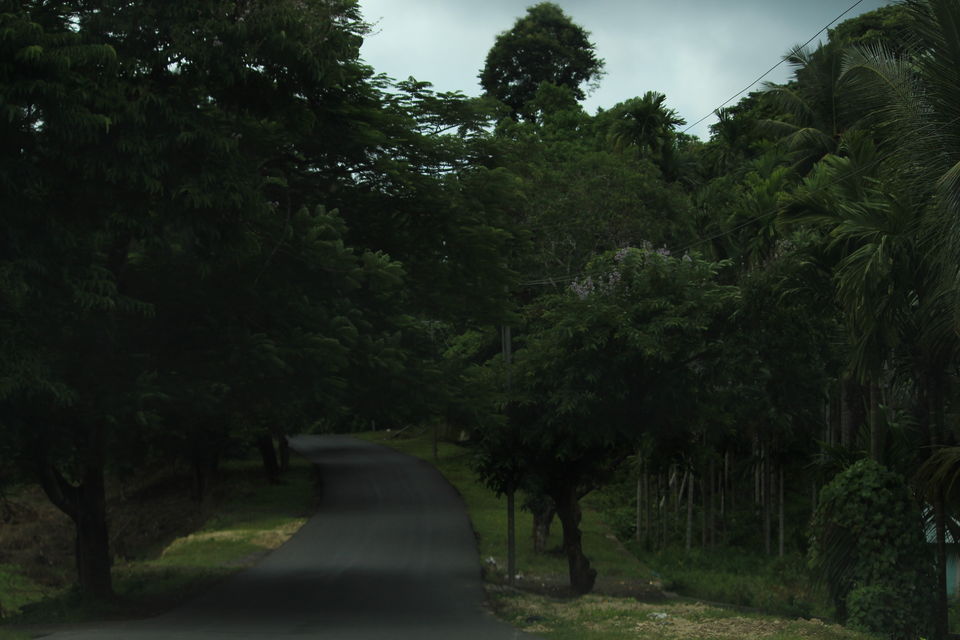 Photo of Andaman and Nicobar Islands, India by Nidhi Sharma