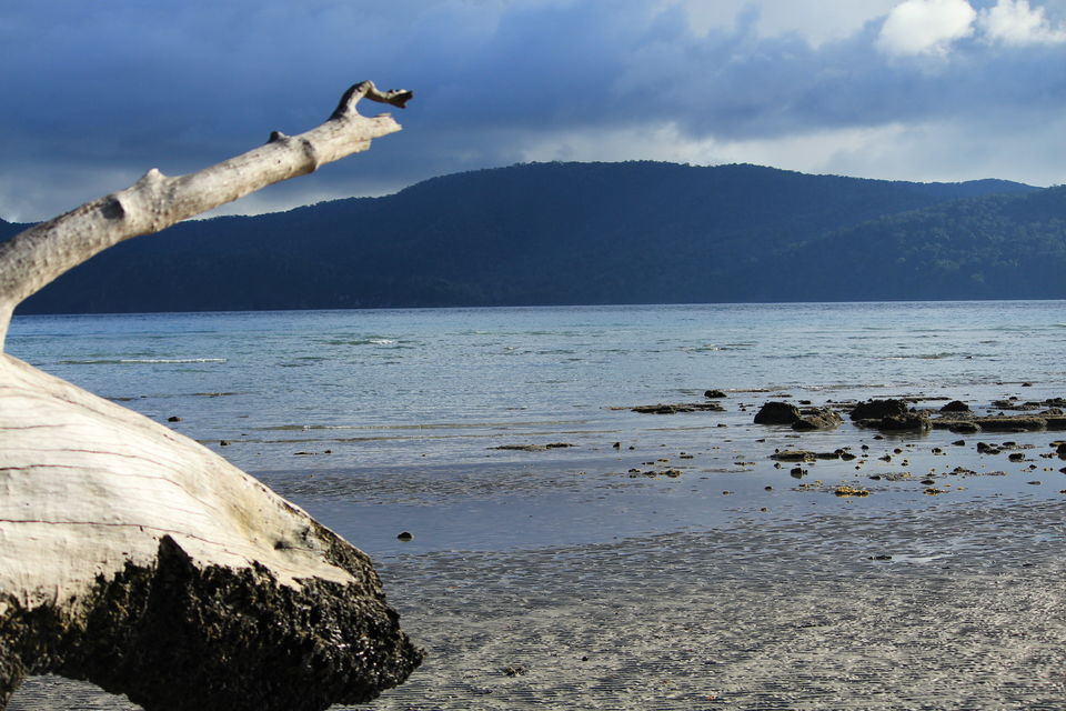 Photo of Andaman and Nicobar Islands, India by Nidhi Sharma
