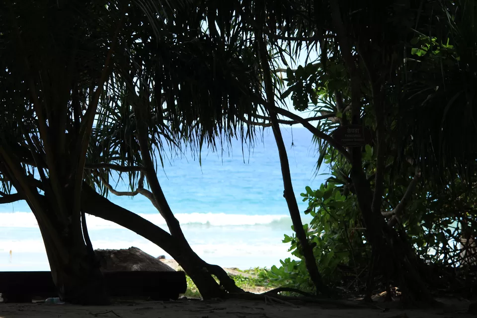 Photo of A Mountain Girl On An Island by Nidhi Sharma
