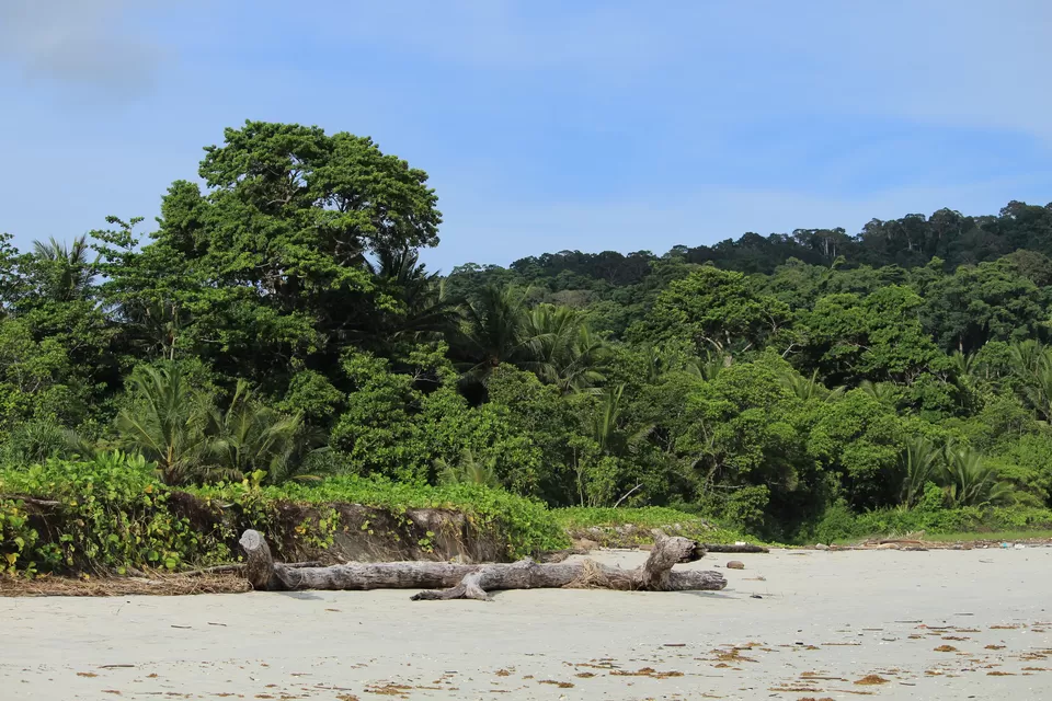 Photo of A Mountain Girl On An Island by Nidhi Sharma