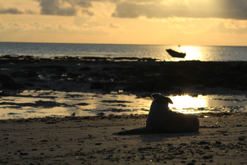 Photo of A Mountain Girl On An Island by Nidhi Sharma