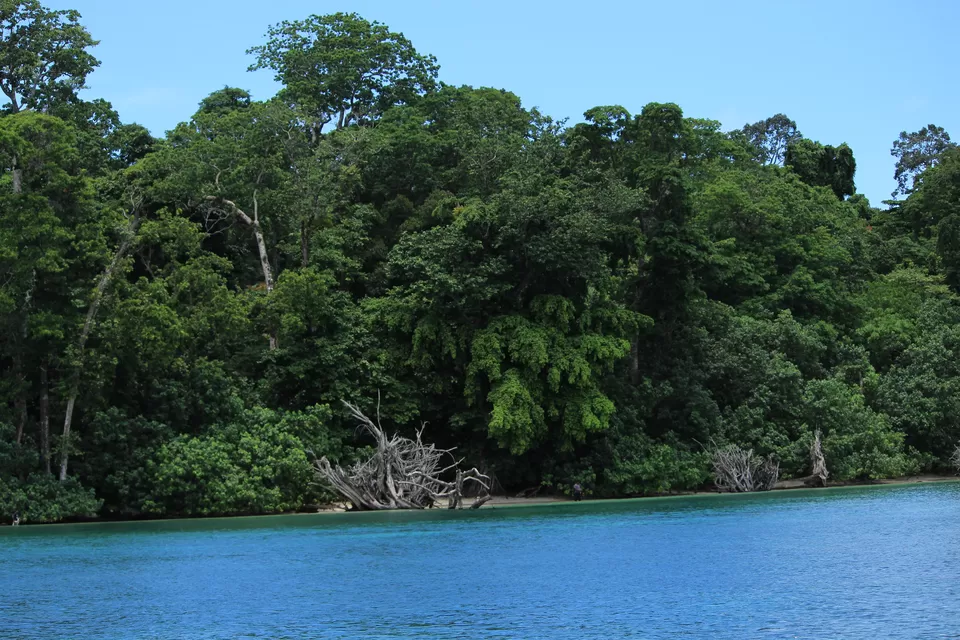 Photo of A Mountain Girl On An Island by Nidhi Sharma