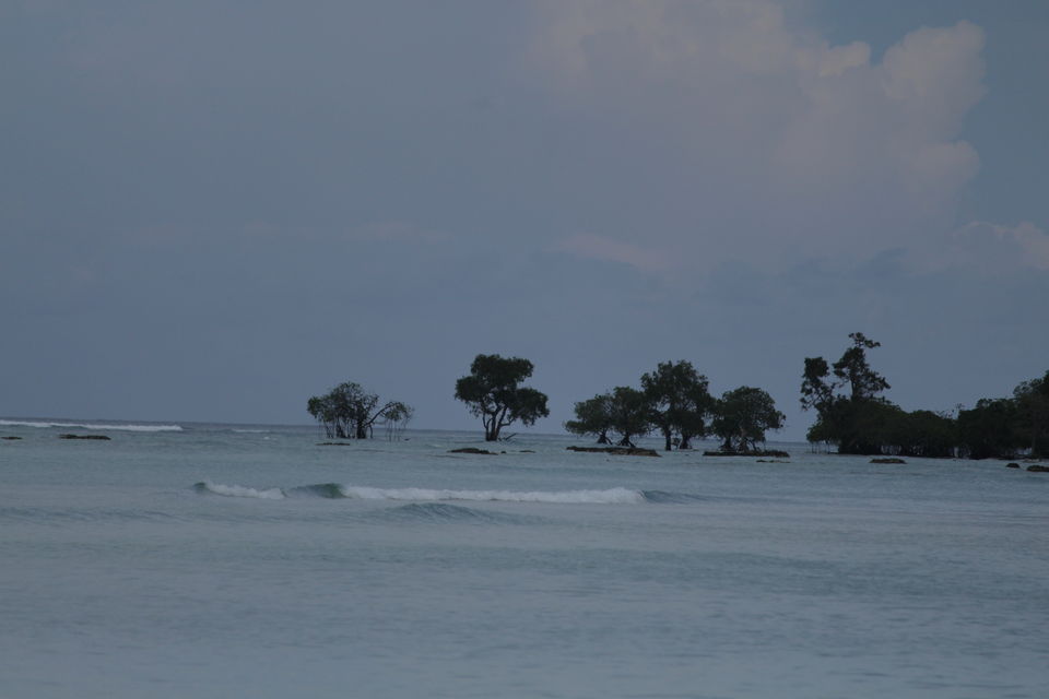 Photo of A Mountain Girl On An Island by Nidhi Sharma