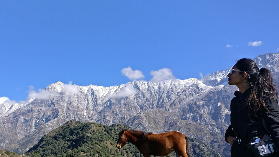 Photo of My First Experience Travelling Solo ! by Raveena Doshi