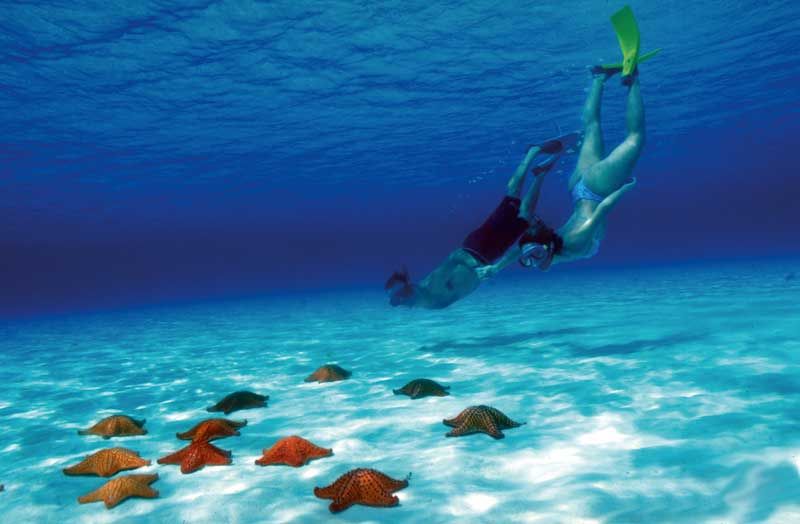 Photo of Cozumel, Mexico by Nathan Segal