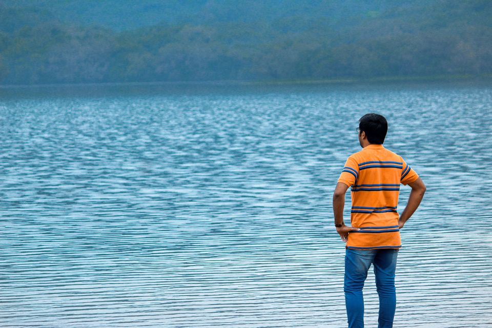 Photo of Maharashtra's Paradise of Flowers- Kaas #BucketList2019 by Bhataku's Travel Tales