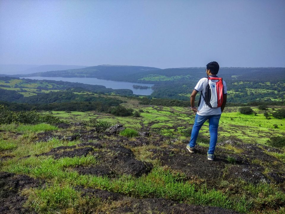 Photo of Maharashtra's Paradise of Flowers- Kaas #BucketList2019 by Bhataku's Travel Tales
