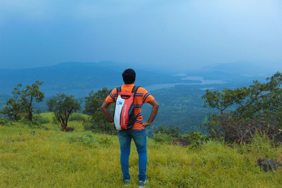 Photo of Maharashtra's Paradise of Flowers- Kaas #BucketList2019 by Bhataku's Travel Tales