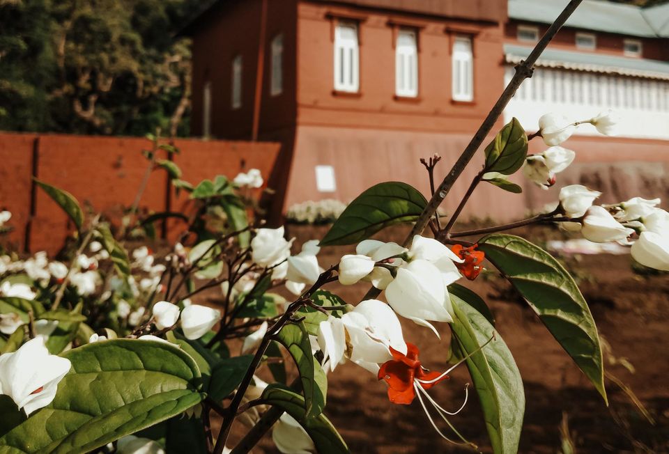 Photo of The hidden Morarji Castle in Mahabaleshwar by Bhataku's Travel Tales