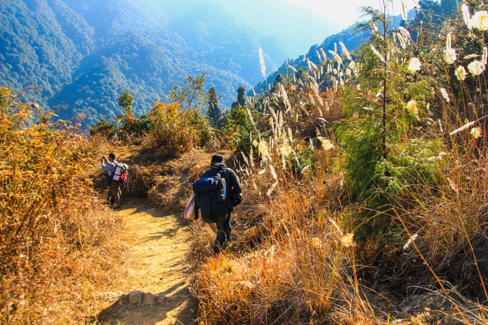 Sandakphu and Phalut Trek Itinerary, Sandakphu Trek - Tripoto