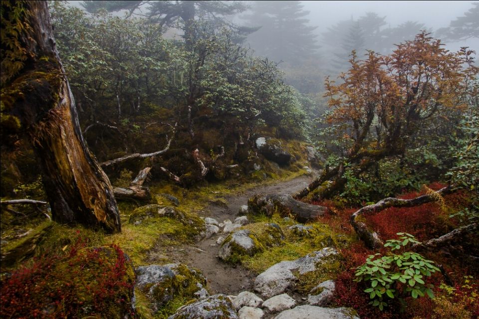 Photo of Goecha La, West Sikkim, Sikkim, India by Ayan Das