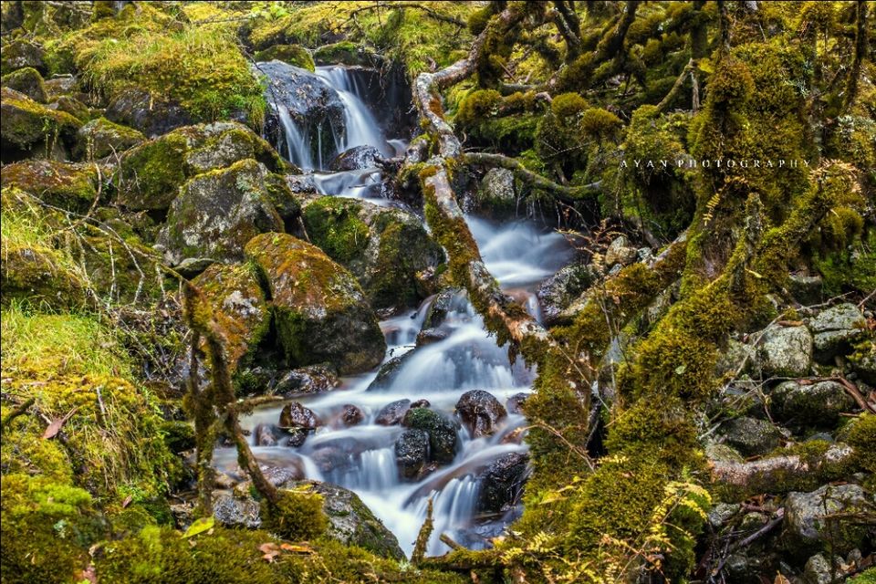 Photo of Goecha La, West Sikkim, Sikkim, India by Ayan Das