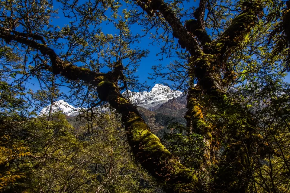 Photo of Goecha La, West Sikkim, Sikkim, India by Ayan Das