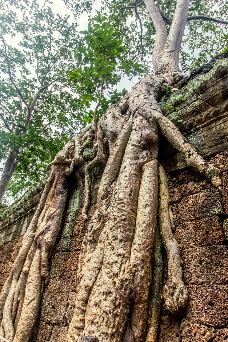 Photo of Siem Reap, Cambodia by Ayan Das