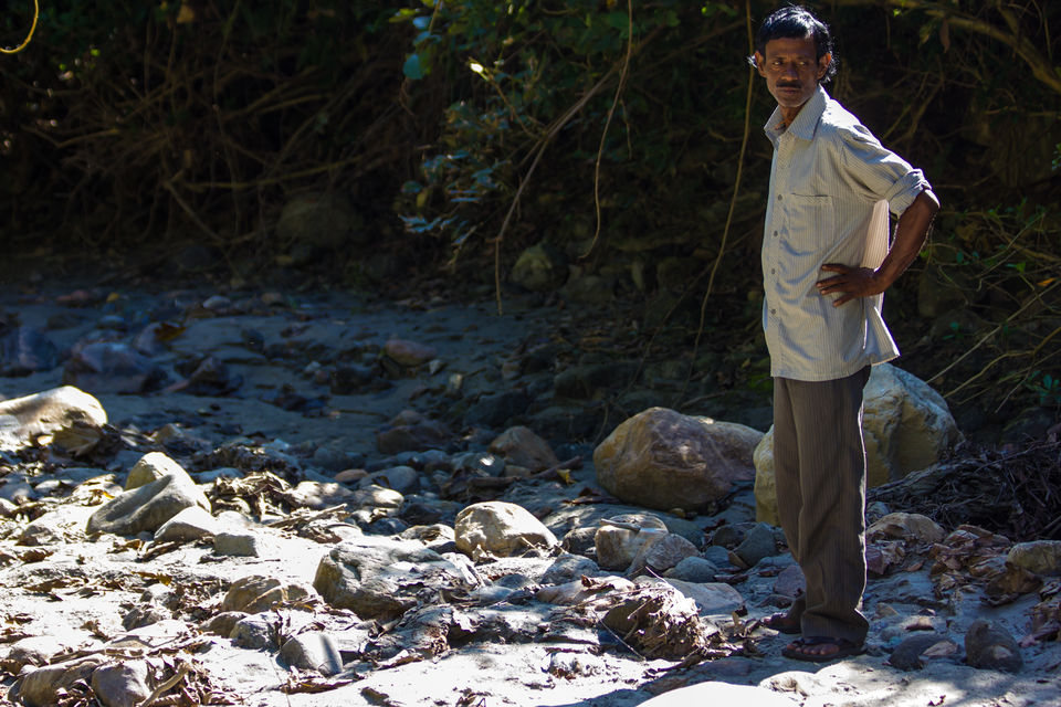 Photo of Dooars Trekking Diaries: The door to Himalayas by Ayan Das